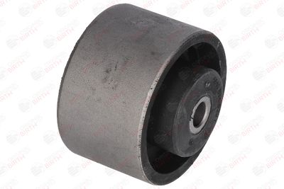 SUPORT MOTOR BIRTH 5610 11