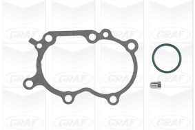 POMPă DE APă RăCIRE MOTOR GRAF PA1004 1