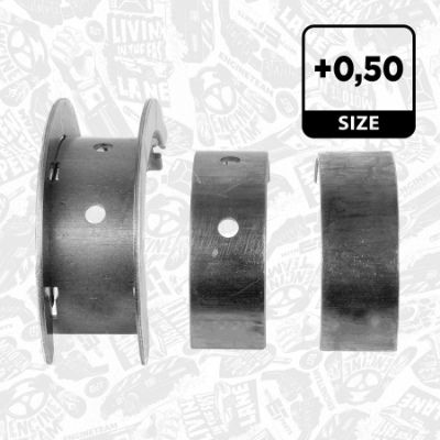 SET RULEMT ARBORE COTIT ET ENGINETEAM LH003550 2