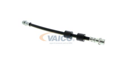 FURTUN FRANA VAICO V251328 39