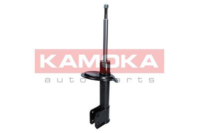 Shock Absorber 2000215