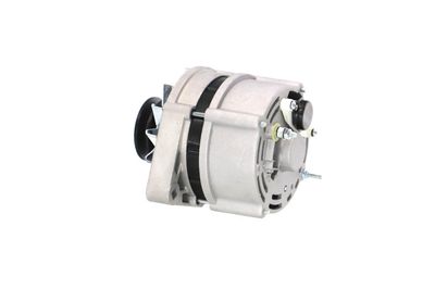 GENERATOR / ALTERNATOR REMANTE 011003000025R 21