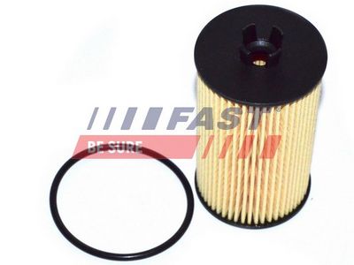 Filtr oleju FAST FT38066