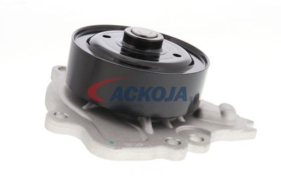 POMPă DE APă RăCIRE MOTOR ACKOJA A7050033 56