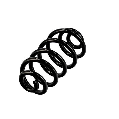 ARC SPIRAL EIBACH R10114 3