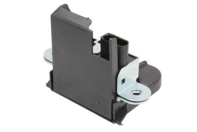 Tailgate Lock 6010-01-038423P