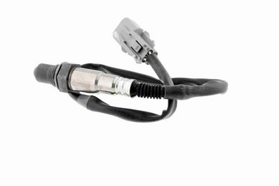 SONDA LAMBDA ACKOJA A53760012 5