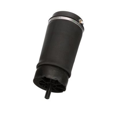 LUFTFEDER FAHRWERK Arnott A2831 71