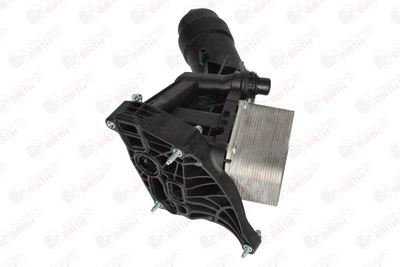 RADIATOR ULEI ULEI MOTOR BIRTH 80816 4