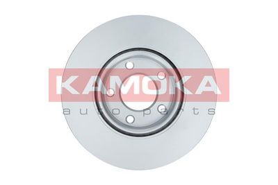 Brake Disc 1031123