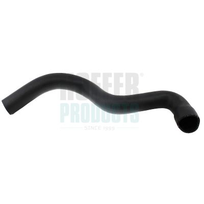 FURTUN EAR SUPRAALIMENTARE