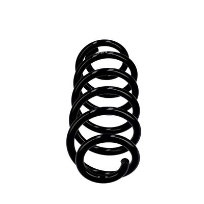 ARC SPIRAL EIBACH R10611 13