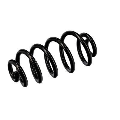 ARC SPIRAL EIBACH R10114 5