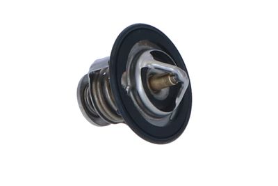 TERMOSTAT LICHID RACIRE NRF 725143 41
