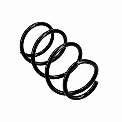 ARC SPIRAL EIBACH R10355 23