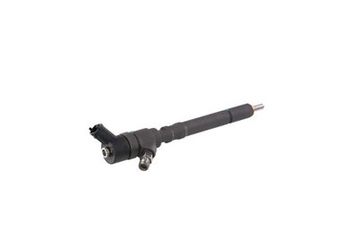INJECTOR REMANTE 002003000020R 39