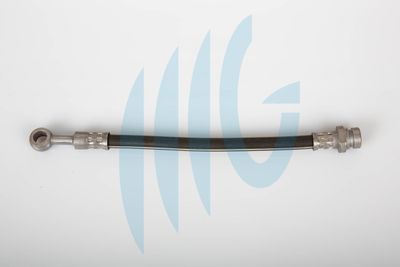 Тормозной шланг RICAMBIFLEX GM 02160844 для HYUNDAI LANTRA