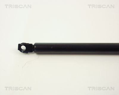 AMORTIZOR PORTBAGAJ KAWE 87101114 1