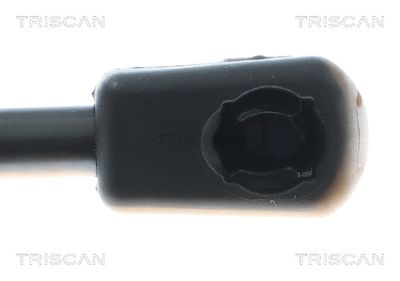 AMORTIZOR PORTBAGAJ TRISCAN 871043309 2