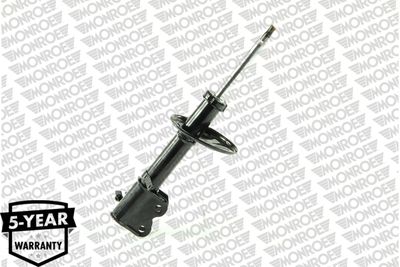 Shock Absorber G16175