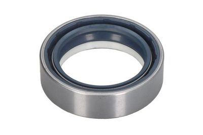 Krukas oliekeerring (40x55x15,5) past: CASE IH 100, 110, 120, 130, 150 CLAAS 546 RX, 547, 547 ATX, 556 RX, 557, 557 ATX, 566 RX, 567 ATX, 567 ATZ, 577 ATZ, 616 RX, 617 ATZ, 656 RZ, 657 ATZ