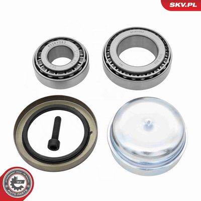 SET RULMENT ROATA ESEN SKV 85SKV063 1