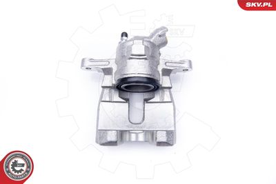 Brake Caliper 34SKV534