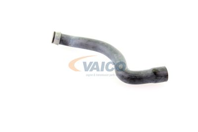 KüHLERSCHLAUCH VAICO V301655 17