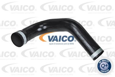 Трубка нагнетаемого воздуха VAICO V42-0576 для LANCIA ZETA