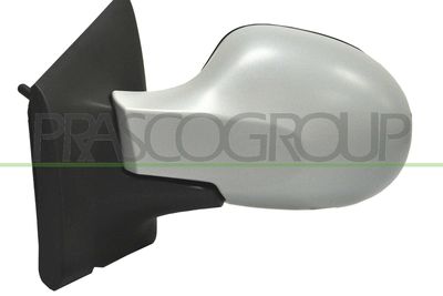 AUßENSPIEGEL PRASCO RN3067124P