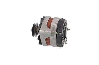 GENERATOR / ALTERNATOR REMANTE 011003000079R 19