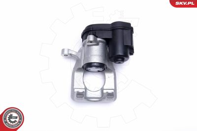 Brake Caliper 55SKV983