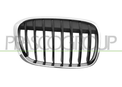 PRASCO BM7072013 Решетка радиатора  для BMW X1 (Бмв X1)