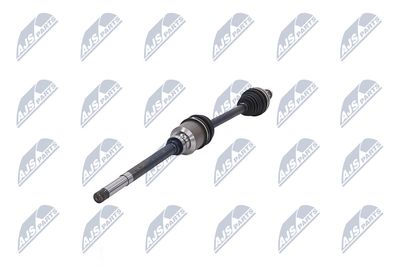 PLANETARA NTY NPWCT009 36