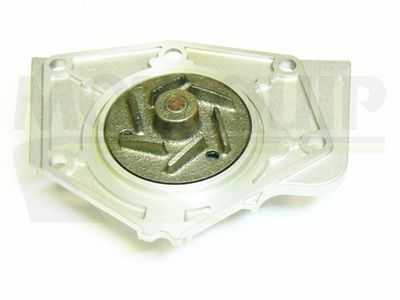 POMPă DE APă RăCIRE MOTOR MOTAQUIP VWP344 1
