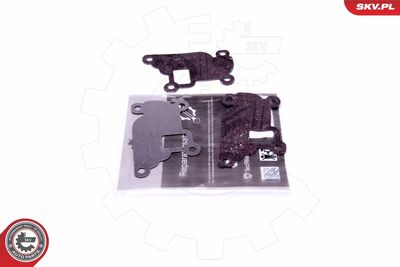 SET DE REPARAțIE SUPAPă AGR