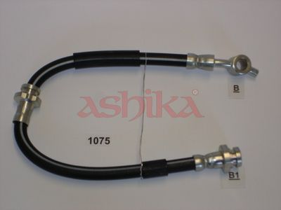 69-01-1075