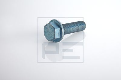 Surub, disc frana PE Automotive 1593101529