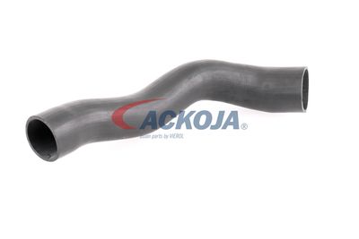 FURTUN EAR SUPRAALIMENTARE ACKOJA A379600 55