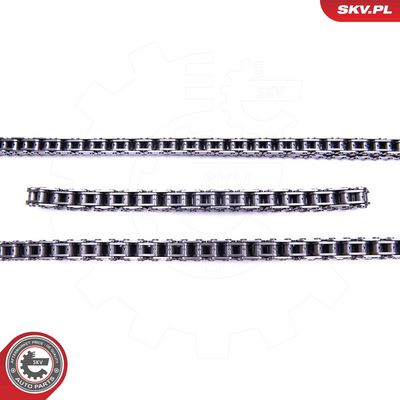 CHIT LANT DE DISTRIBUTIE ESEN SKV 21SKV174 1