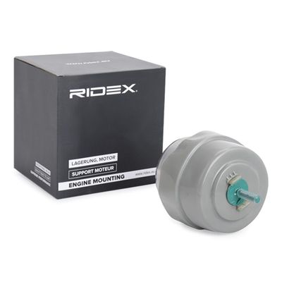окачване, двигател RIDEX 247E0407