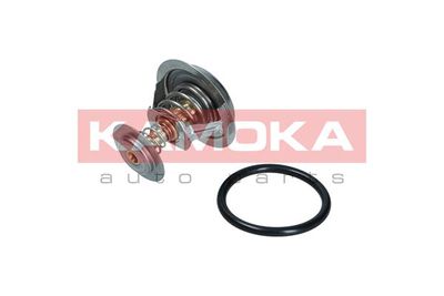 TERMOSTATLICHID RACIRE