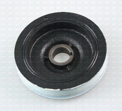 FULIE CUREA ARBORE COTIT IPD 157012