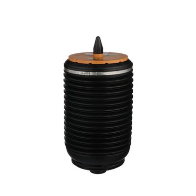 LUFTFEDER FAHRWERK Arnott A3892 17