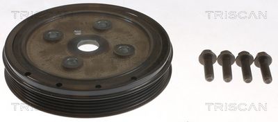 FULIE CUREA ARBORE COTIT