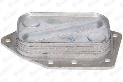 RADIATOR ULEI ULEI MOTOR BIRTH 80786 7