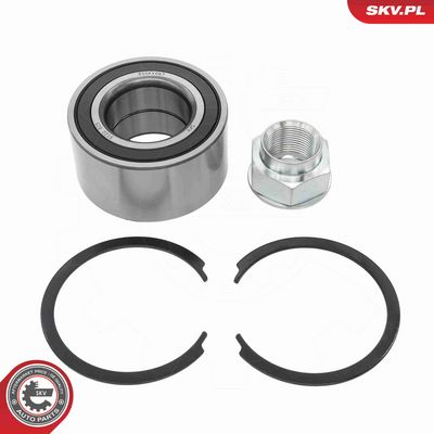 SET RULMENT ROATA ESEN SKV 85SKV067 1