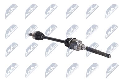 PLANETARA NTY NPWCH044 29