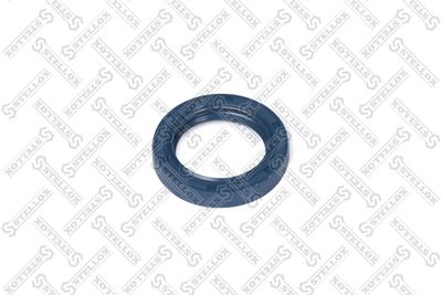 STELLOX 34-00004-SX Уплотняющее кольцо, дифференциал для VW PASSAT B5 Variant (3B5)