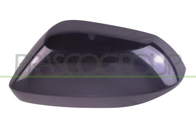 ACOPERIRE OGLINDA EXTERIOARA